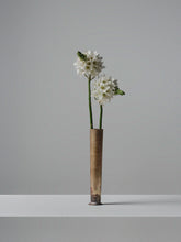 Medium handcrafted brass vase by 13 Knives holding white star-cluster flowers on a neutral backdrop